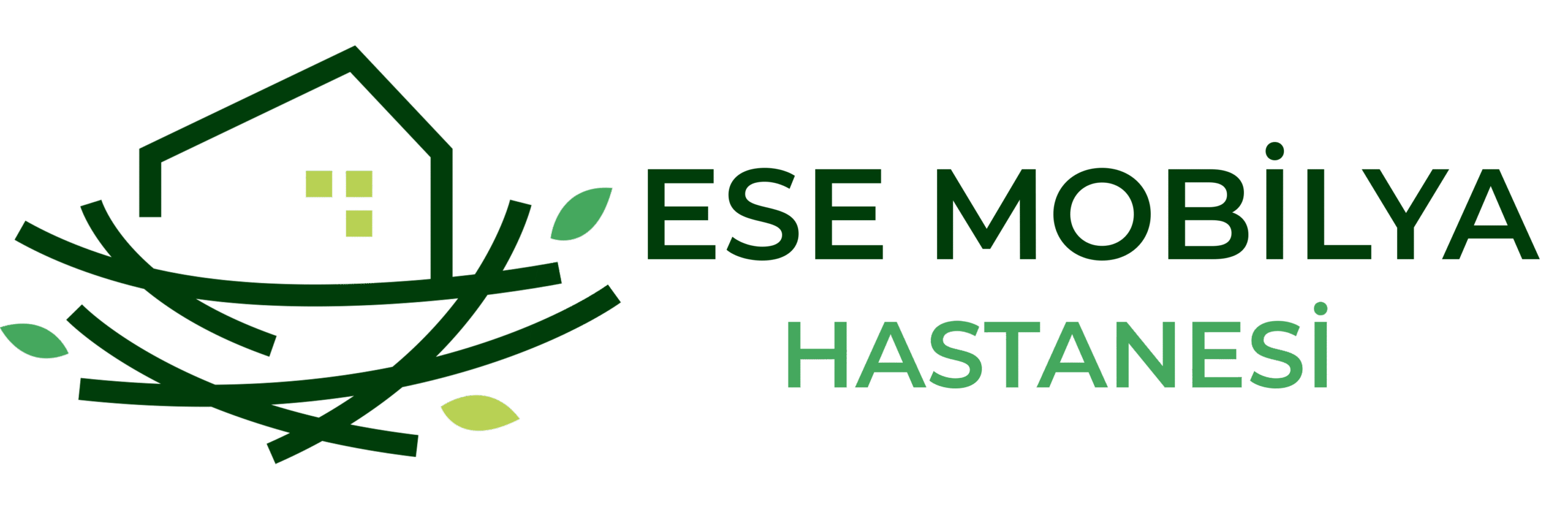 Ese Mobilya Hastanesi